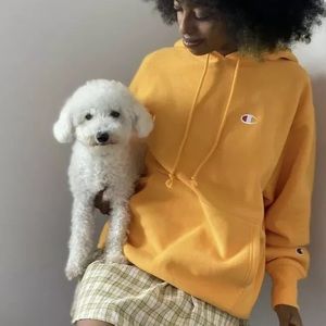 NWT Champion reverse weave boyfriend hoodie